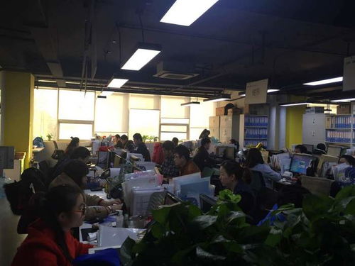 專(zhuān)業(yè)商務(wù)談判口譯，譯銘翻譯 為企業(yè)國(guó)際化進(jìn)程注入精準(zhǔn)溝通動(dòng)力